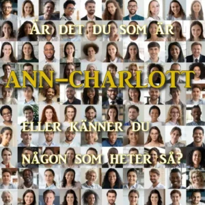 ann-charlott.se