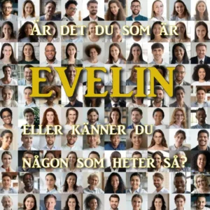 Evelin.se