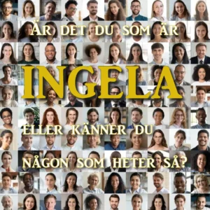 ingela.se