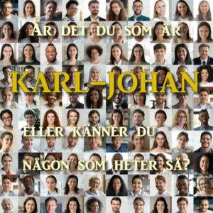 karl-johan.se