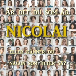 nicolai.se